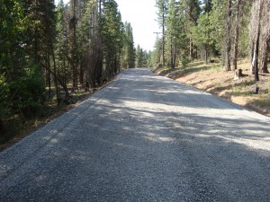 A road with trees on both sides of it