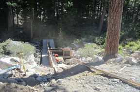 Construction site in a forested area.