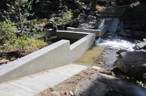 Concrete water channel in a forest setting.