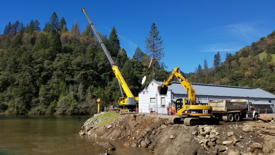 A couple of yellow cranes are on top of rocks